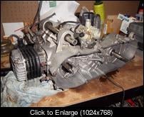 IMGP1614 (Large).JPG